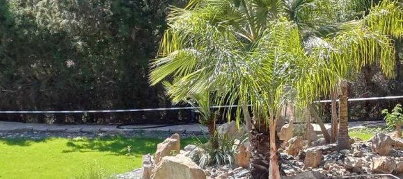 4 غرف نوم عقار تجاري في Akrounta, Cyprus رقم 19926 16