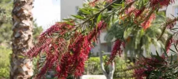 4 غرف نوم منزل ذو طابقين في Colmenarejo, Spain رقم 176723 8