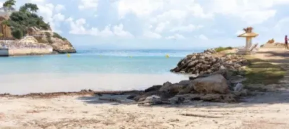 4 غرف نوم منزل ذو طابقين في Colmenarejo, Spain رقم 176723 5