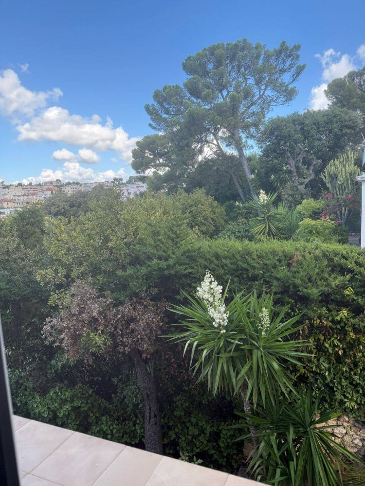 2 chambres Appartement à Le Cannet, France No. 360730