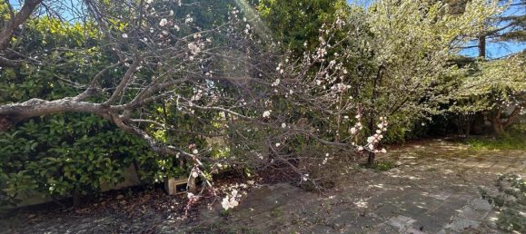 6غرفة فيلا في Pulsano, Italy رقم 36038 10