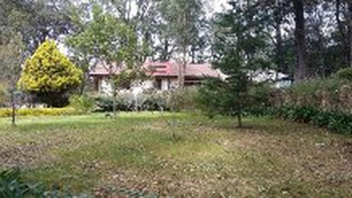 3 chambres Maison à Mexico No. 223554