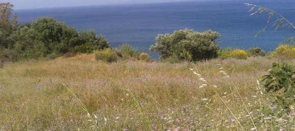  Hotel in Zakynthos, Greece No. 835 4