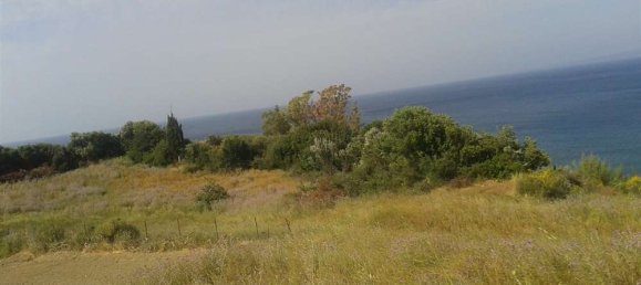 Grundstück in Zakynthos, Greece, Nr. 835 3