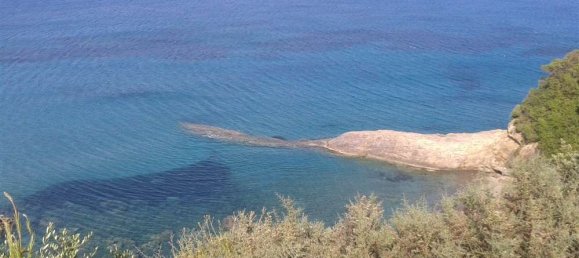 Grundstück in Zakynthos, Greece, Nr. 835 8
