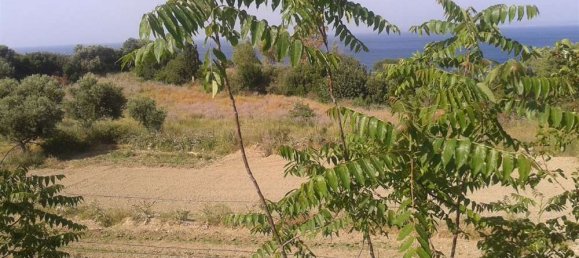  Hotel in Zakynthos, Greece No. 835 6