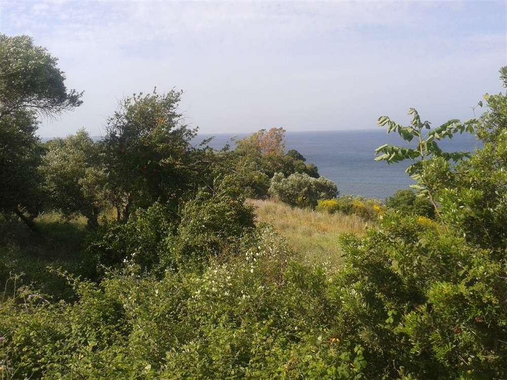Grundstück in Zakynthos, Greece, Nr. 835