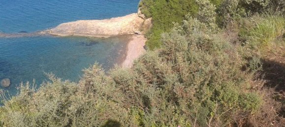  Hotel in Zakynthos, Greece No. 835 9