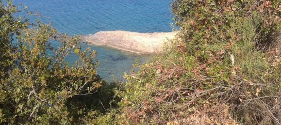Grundstück in Zakynthos, Greece, Nr. 835 12