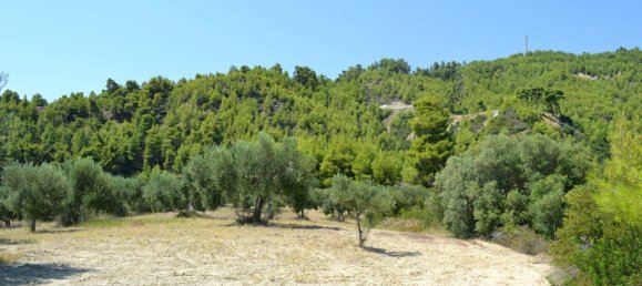  فندق في Chalkidiki, Greece 31000متر مربع رقم 6086 3