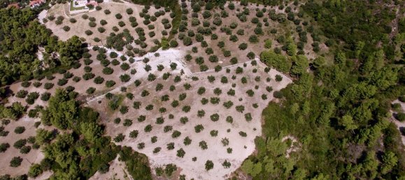 31000m² Hotel in Chalkidiki, Greece No. 6086 4