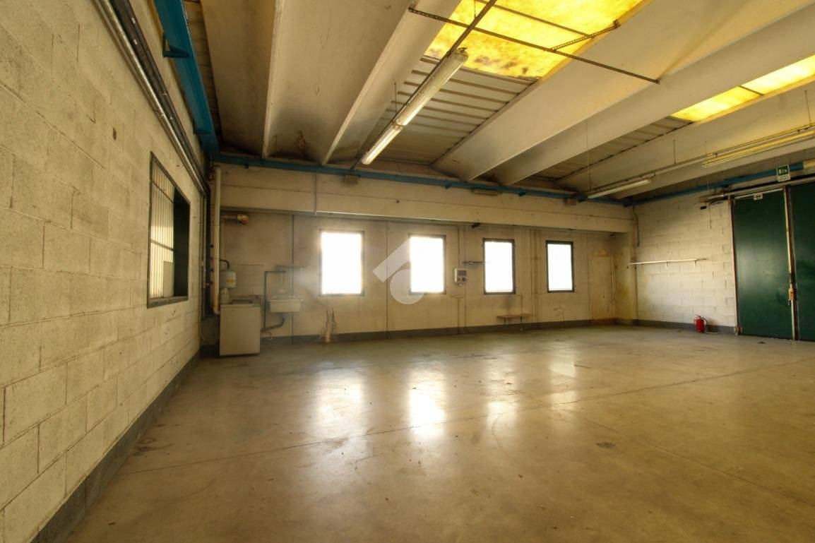 4 rooms Office in Lallio, Italy No. 273643