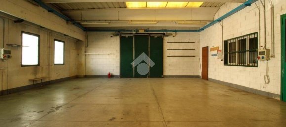 4 rooms Office in Lallio, Italy No. 273643 3