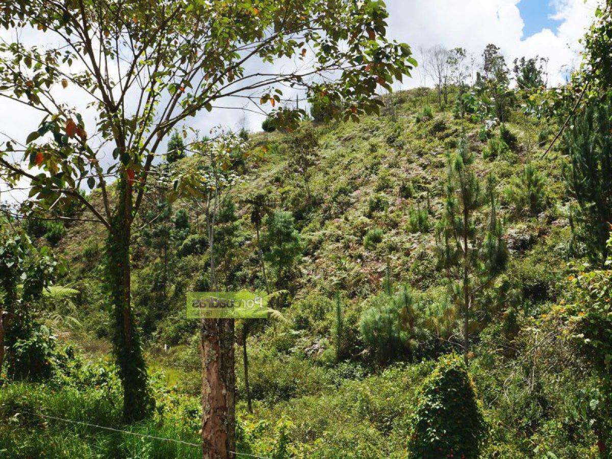  Land in Antioquia, Colombia No. 839