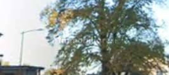 Apartamento T2 em Ferrara, Italy N.º 283585 16