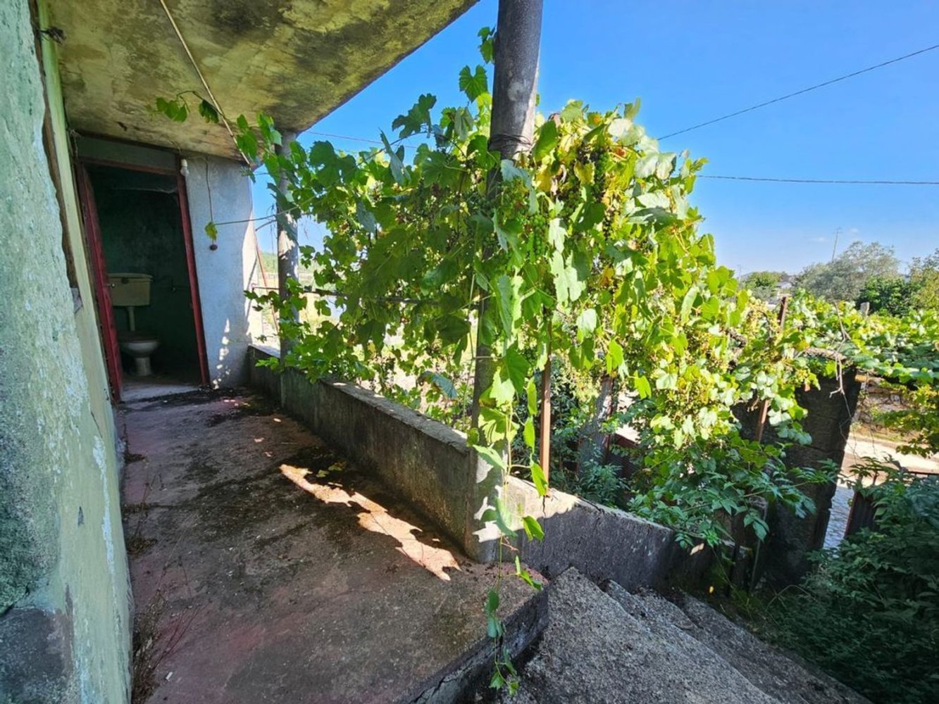 1 bedroom House in Castro Daire, Portugal No. 166838