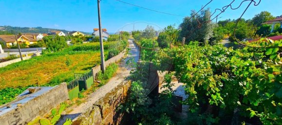 1 bedroom House in Castro Daire, Portugal No. 166838 6