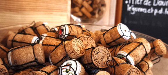 Propriété commerciale à Châtenois, France 110m² No. 40105 11