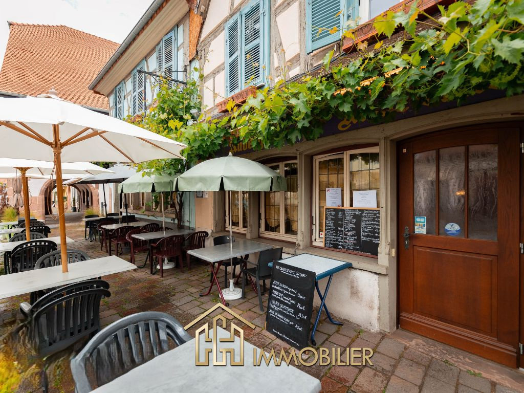 Propriété commerciale à Châtenois, France 110m² No. 40105