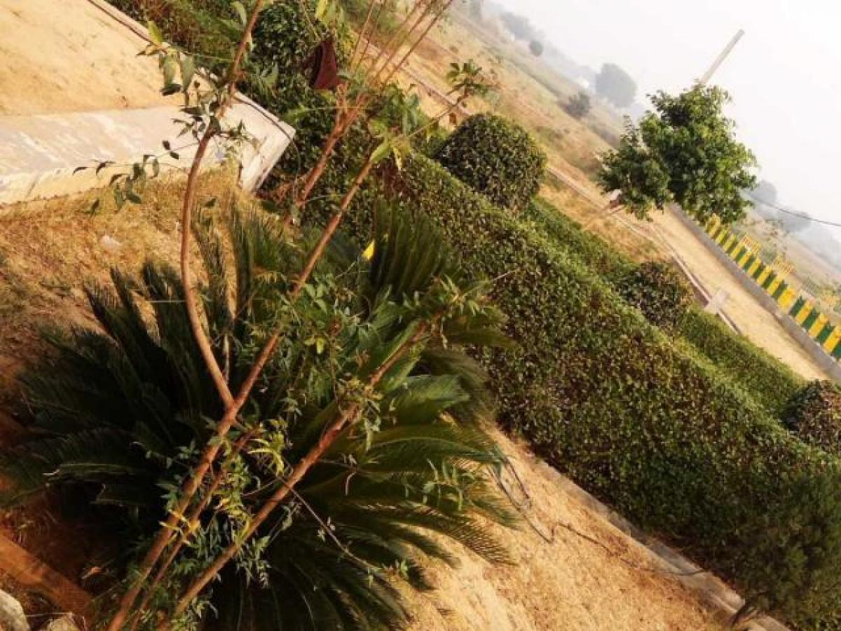  Land in Noida, India No. 65992