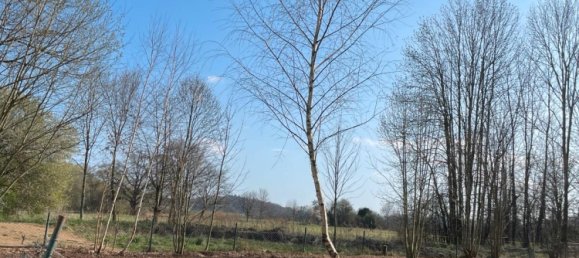 Земельный участок в Ойскирхен, Германия № 290470 2