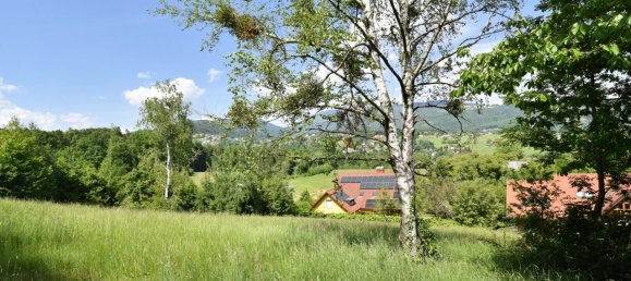 Terrain à Andritz, Austria No. 244022 12