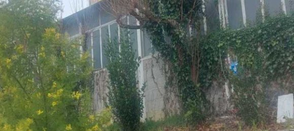 4 bedrooms Apartment in Mogliano, Italy No. 19363 4