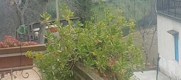 4 bedrooms Apartment in Mogliano, Italy No. 19363 16