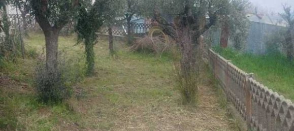 4 bedrooms Apartment in Mogliano, Italy No. 19363 10