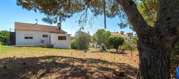 4 Schlafzimmer Haus in Tomar, Portugal, Nr. 21866 40