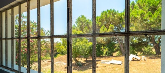 4 Schlafzimmer Haus in Tomar, Portugal, Nr. 21866 35