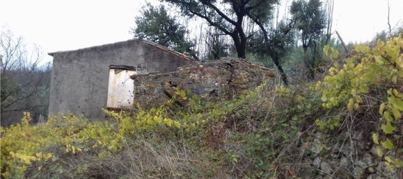 3 bedrooms House in Serta, Portugal No. 32051 2