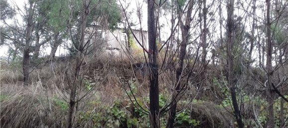 3 bedrooms House in Serta, Portugal No. 32051 9