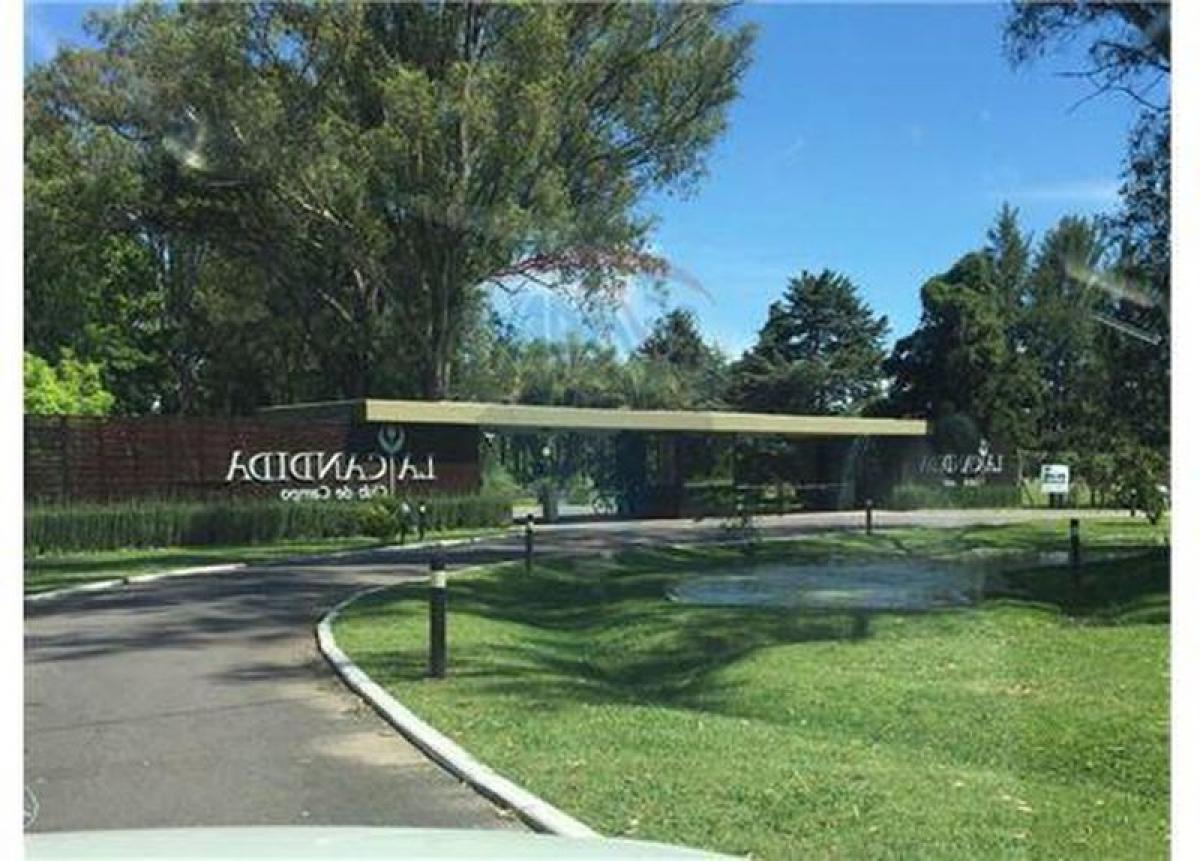  قطعة أرض في Campo Creado, Argentina رقم 33377