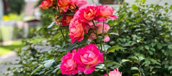 2 Schlafzimmer Haus in Havelland, Germany, Nr. 327779 4