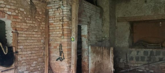 4 chambres Ferme à Mansfeld-Sudharz, Germany No. 273418 11