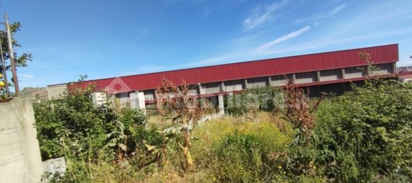 5080m² Warehouse in Scordia, Italy No. 289167 8