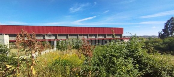5080m² Warehouse in Scordia, Italy No. 289167 9