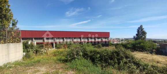 5080m² Warehouse in Scordia, Italy No. 289167 3