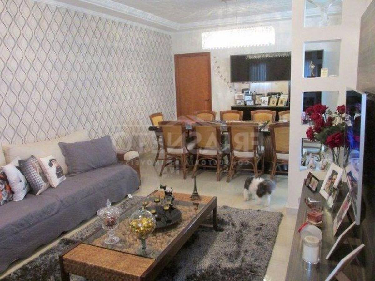 3 Schlafzimmer Haus in Sao Paulo, Brazil, Nr. 566163