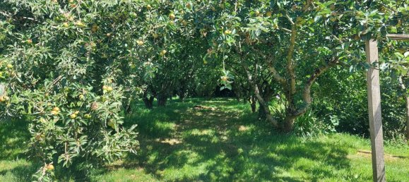 5 غرف نوم منزل في Louargat, France رقم 338182 12