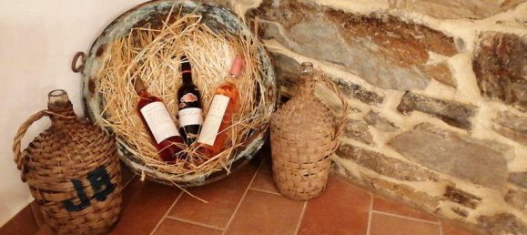 9 Schlafzimmer Hotel in Braganca, Portugal, Nr. 149592 17