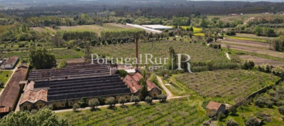 12022m² Land in Soure, Portugal No. 127388 9