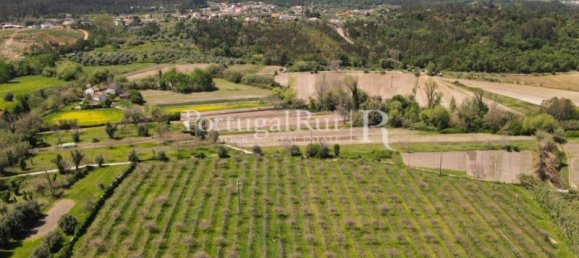 12022m² Land in Soure, Portugal No. 127388 5