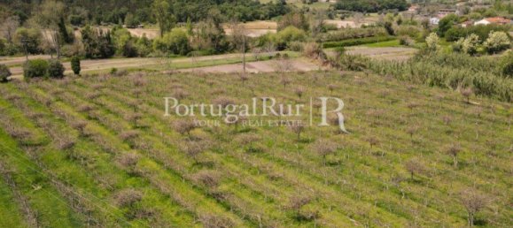 12022m² Land in Soure, Portugal No. 127388 13
