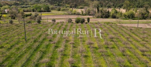 12022m² Land in Soure, Portugal No. 127388 2