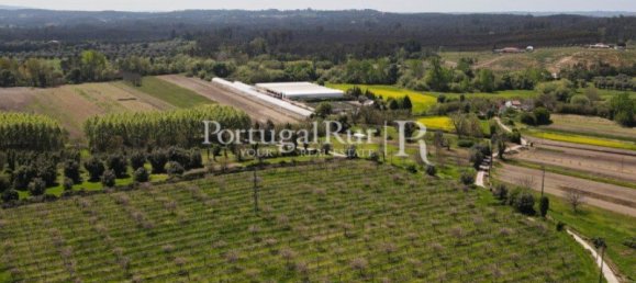 12022m² Land in Soure, Portugal No. 127388 10