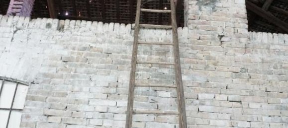 5-salle Maison à Parma, Italy No. 234481 15