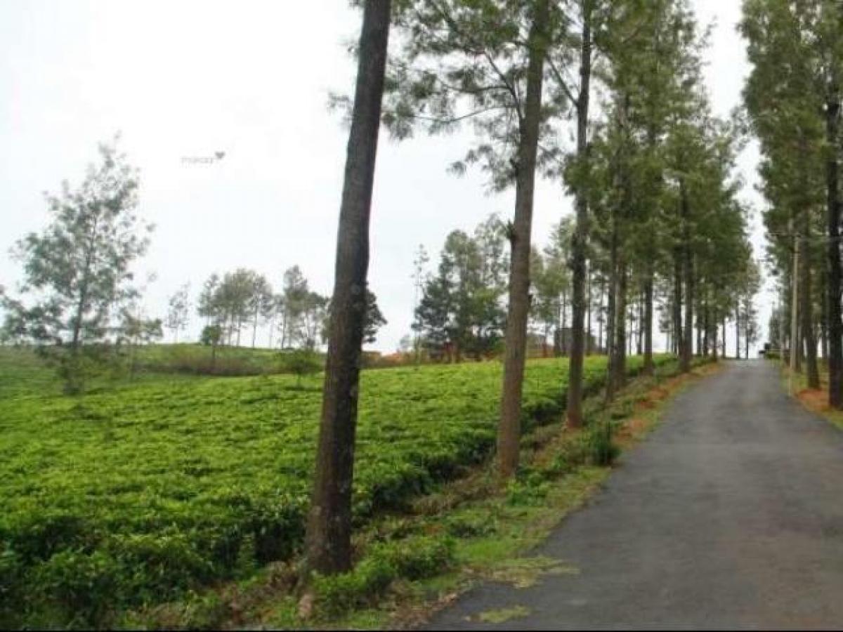 Земельный участок в Тамилнад, Индия № 38177