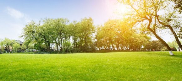 Земельный участок 8000м² в Венеция, Италия № 153905 2